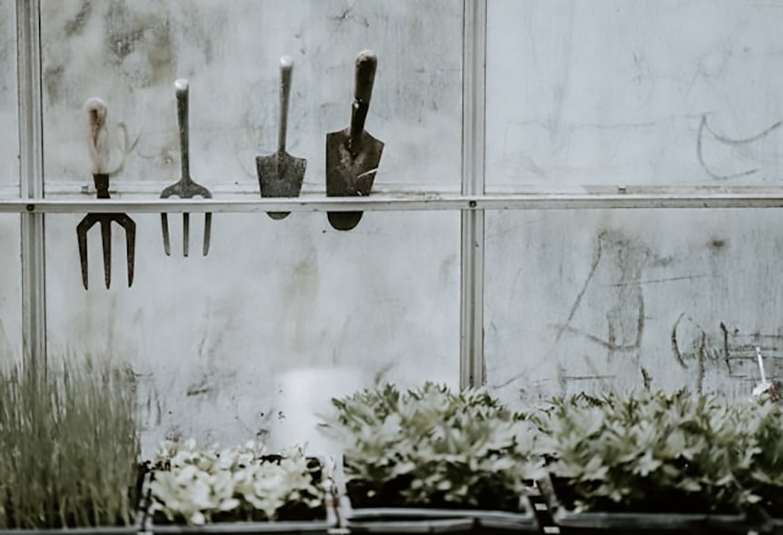 Photo of garden tools in a greenhouse