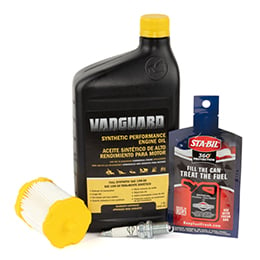  14 Hp Vanguard Engine Tune-up Kit 84006010